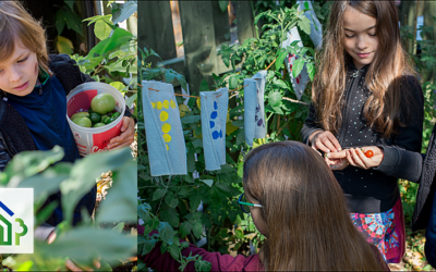 Inspire Co-op Members to Transform their Living Space